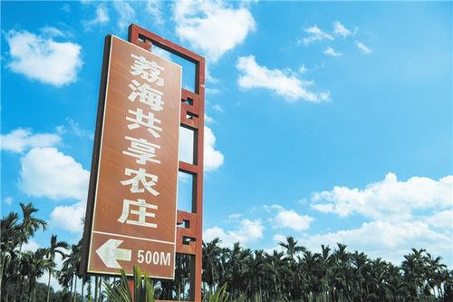 ?？诮ㄔO共享農(nóng)莊全面推進鄉(xiāng)村振興?？谖拿骶W(wǎng)