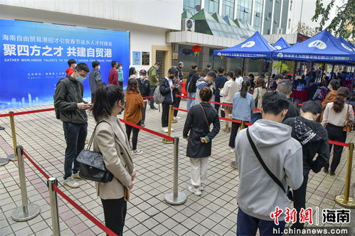 海南自由貿(mào)易港招才引智春節(jié)返鄉(xiāng)人才對(duì)接會(huì)在海口舉行 9