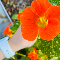 【?？诋a(chǎn)品/運(yùn)營產(chǎn)品經(jīng)理招聘】_1-3年_大專-店長直聘