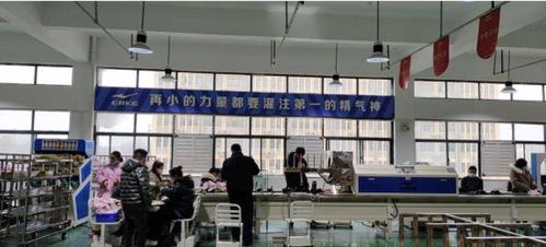 再招1500人 鴻星爾克河南工廠,喊你來(lái) 踩縫紉機(jī)