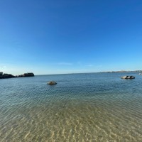 【?？诋a(chǎn)品/運(yùn)營(yíng)直播運(yùn)營(yíng)招聘】_初中以下_1500以下-店長(zhǎng)直聘