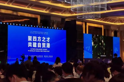 期待 平庸之輩 也能登上海南招才引智的舞臺