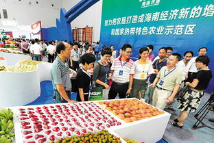 海南農(nóng)墾 八八 戰(zhàn)略項目招商大會閉幕 意向金額達2 香港商報