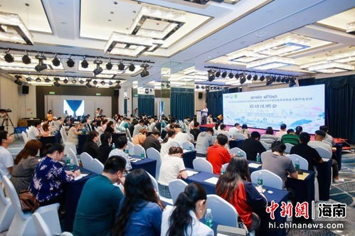 2024海南省第九屆旅游商品大賽啟動(dòng)暨?？谡衅竸?dòng)態(tài)