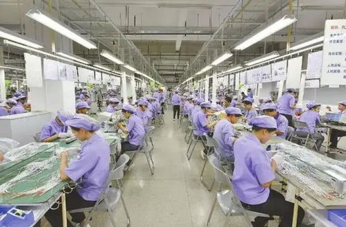 溫州富婆征婚后續(xù) 賓利之約成空談，?？谡衅敢裏嶙h