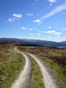 青海藏文報海口招聘啟事